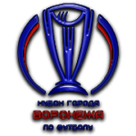 Voronezh Cup