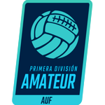 Primera División Amateur