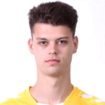 Mihai Cohan