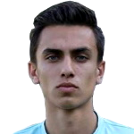 Sina Zamehran