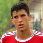 Zoltan Gubacsi