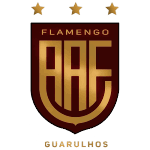 Аа Фламенго U20