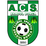 ACS Bradu Borca