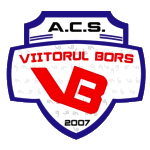 acs-viitorul-bors