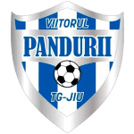 acs-viitorul-pandurii-targu-jiu