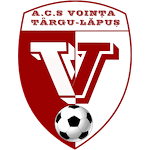 acs-vointa-targu-lapus