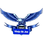 afc-soimii-vintu-de-jos