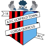 AFC Uckfield