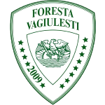 AS Foresta Văgiulești