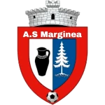 FC Marginea