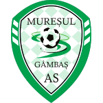 as-muresul-gambas