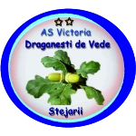 AS Victoria Draganesti De Vede