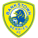 Bankstown Berries FC