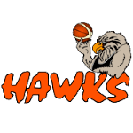 bay-hawks