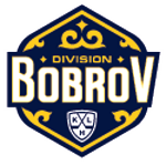 Bobrov Division