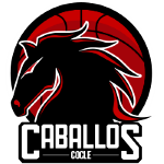 Caballos de Coclé