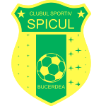 cs-spicul-bucerdea