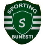 CS Sporting Vointa Bunesti