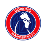 Dorking Wanderers FC Ladies