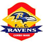 FC Ravens Corbii Mari