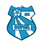 FK Borac Pločica