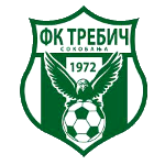 FK Trebič Sokobanja