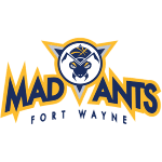 fort-wayne-mad-ants