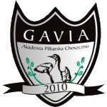 Gavia Choszczno