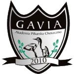 gavia-choszczno