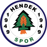 Hendek Spor Sakarya