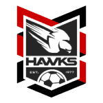 holland-park-hawks