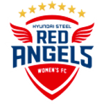 Incheon Hyundai Steel Red Angels
