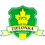 lks-zielonka-wrzasowice