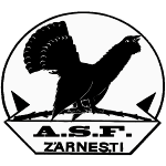 olimpic-zarnesti-ii