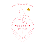 Pallamano Trieste