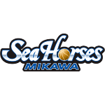 seahorses-mikawa