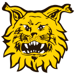 Tampereen Ilves