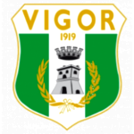 A.S.D. Vigor Lamezia Calcio 1919