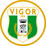 A.S.D. Vigor Lamezia Calcio 1919