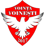 vointa-voinesti