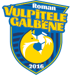 vulpitele-galbene-roman