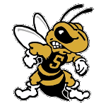 west-virginia-state-yellow-jackets