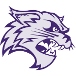 Wiley Wildcats