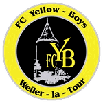yellow-boys-weiler-la-tour
