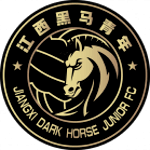 Jiangxi Dark Horse Junior FC