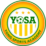 Йонг Спортс Академи